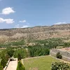 alenanwar5