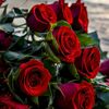 user5441509247905