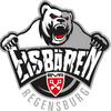 fan_eisbaeren_regensburg