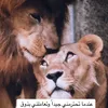 userr2q6q1yrav