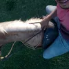 ezequielrocha818