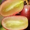 grape_page_ua