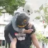 dyxgobz0jf16