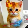 userwmgwuf55z8