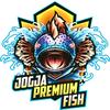 jogjapremiumfish