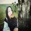 fiasaurusrex