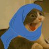 haniya.shishin