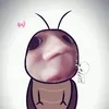 baoconcamau
