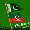 rashid_khan78r