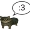 sssha.jpg