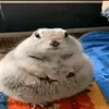 mimiomum