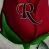 user3118651171327