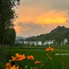 lynh_564