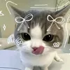 anh.thy843