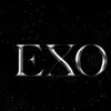 tine_exo12