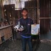panggilajasi_z