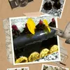monde_hasnae