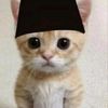 tiktokkun007