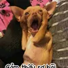 _mac.ke.su.doi_