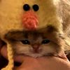 my.account000