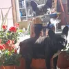 userlaribelle