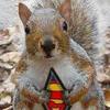 supersquirrel01