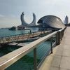 mdmehadihasanqatar