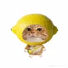 dlinh__06
