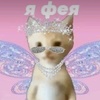 bagira_cat_my