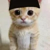 dudul_gemoy