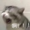 nldannnnn