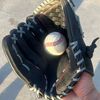 yankees795