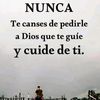 judydec8081