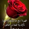 wael84575