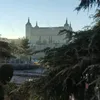 hiena_j