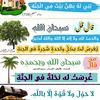 wassimadn1
