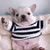fat.bahbi