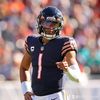 bears_central