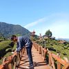 rehan_.andre16