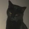 g1lllt