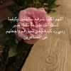 alsahm19