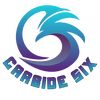 carbidesix