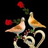 love.you.koleja0