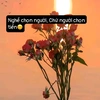 nguyenduong_148