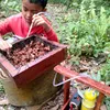 madubetuah3