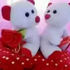 afsanamimi8463