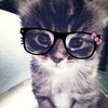 qissy_._
