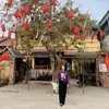 hanhbovang