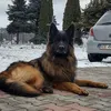 gsjordan51