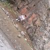 vusal_w5